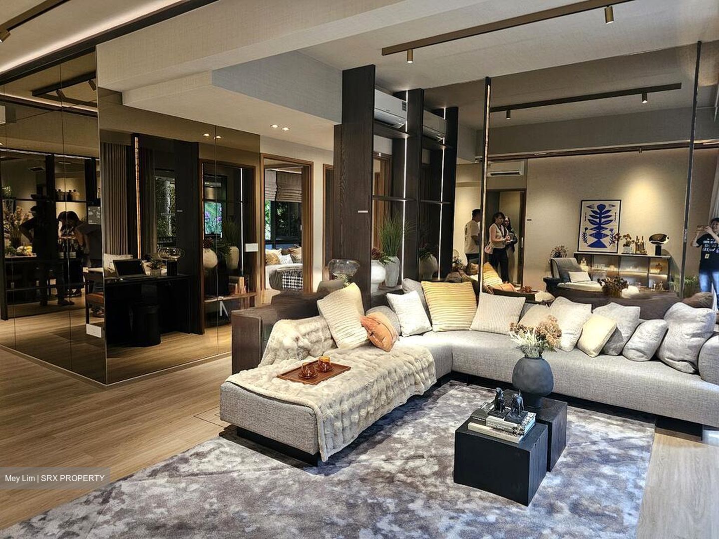 Wallich Street (D2), Condominium #555948621